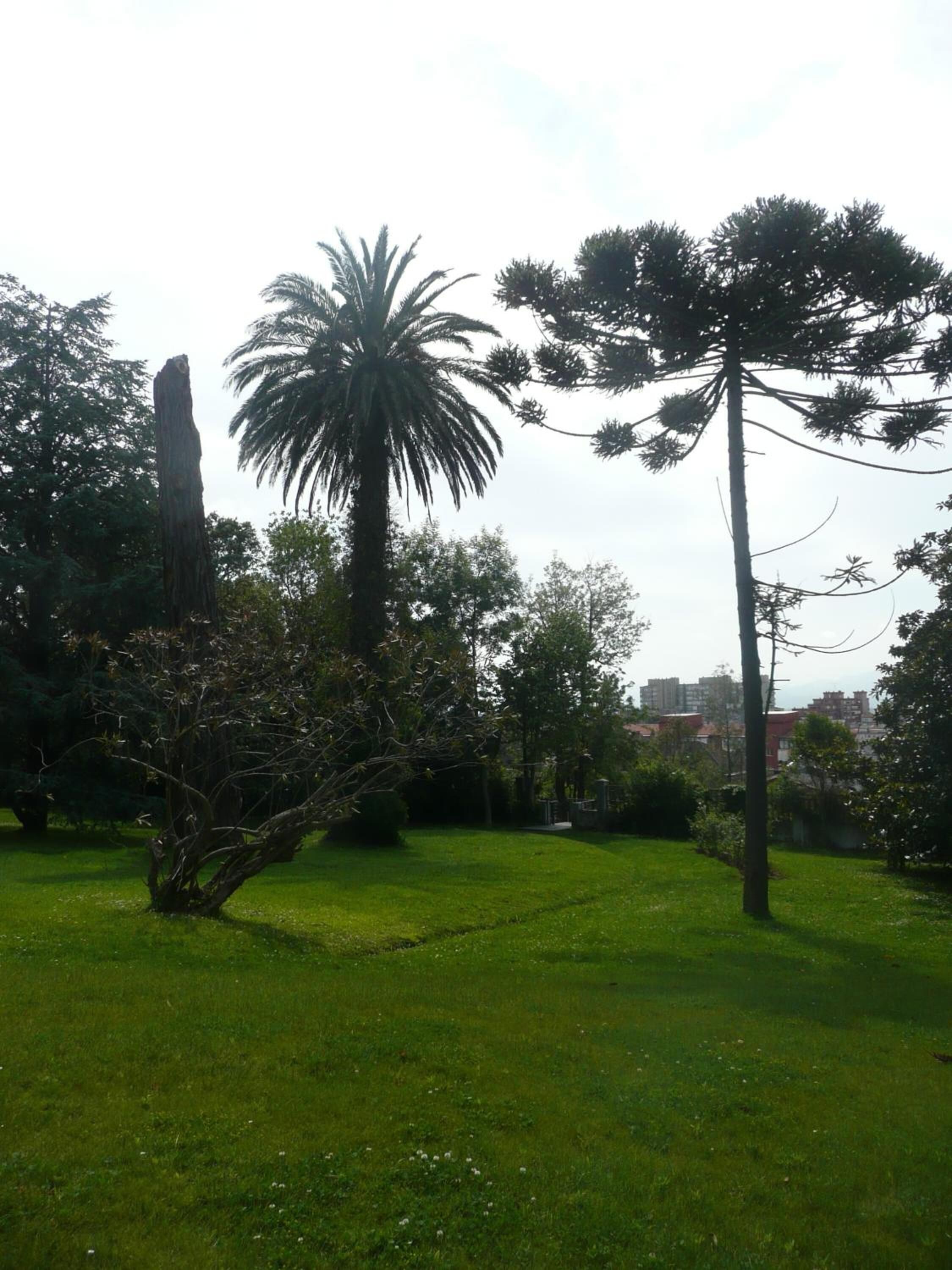 Photo - Las Carolinas Garden