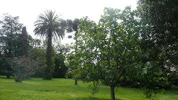 Jardín