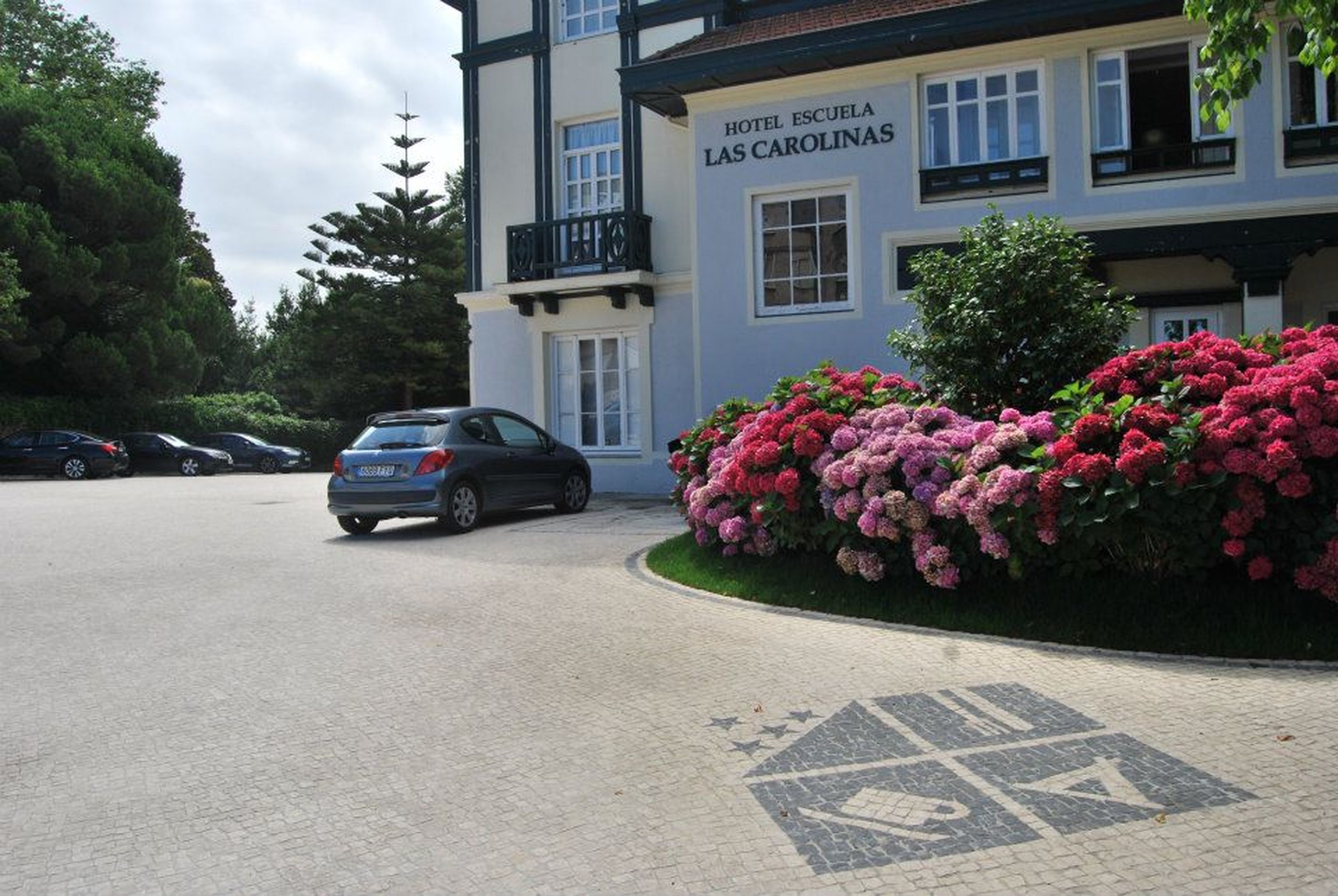 Photo - Las Carolinas Garden