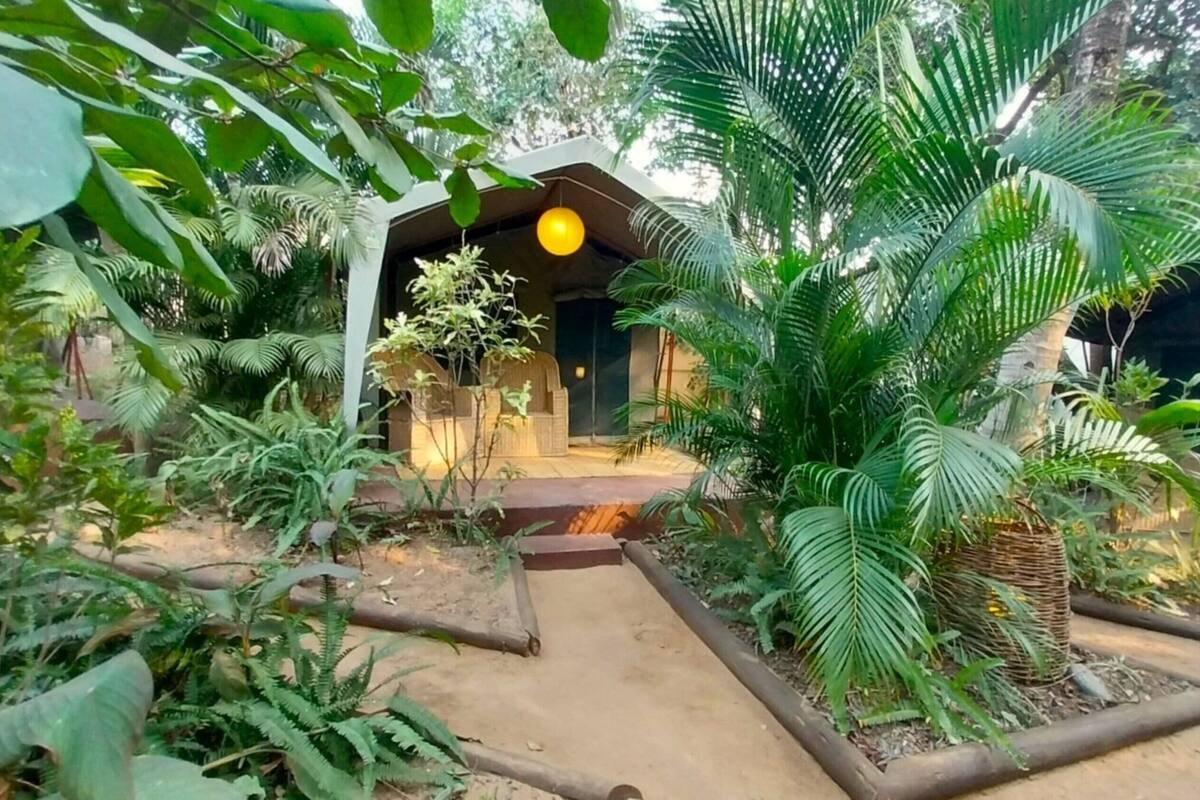 免費 Wi-Fi、床單