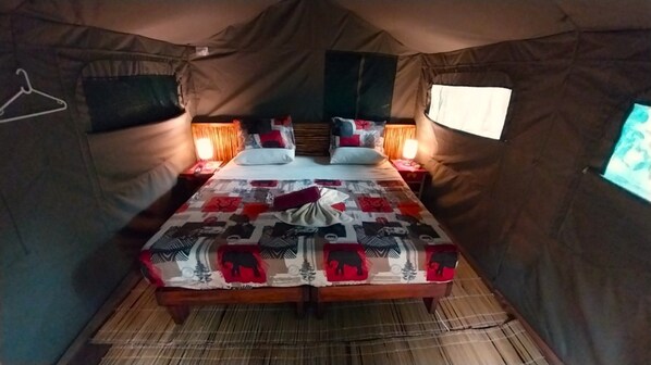 Wi-Fi gratuito, lenzuola