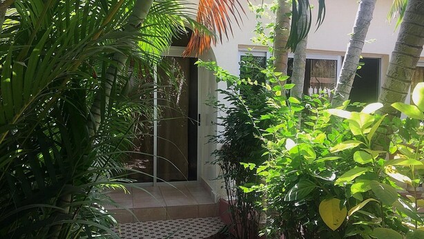 A lush garden with a variety of plants and a tiled staircase leading to a building entrance. - Sermaho Residence - Adults Only (Serrekunda)