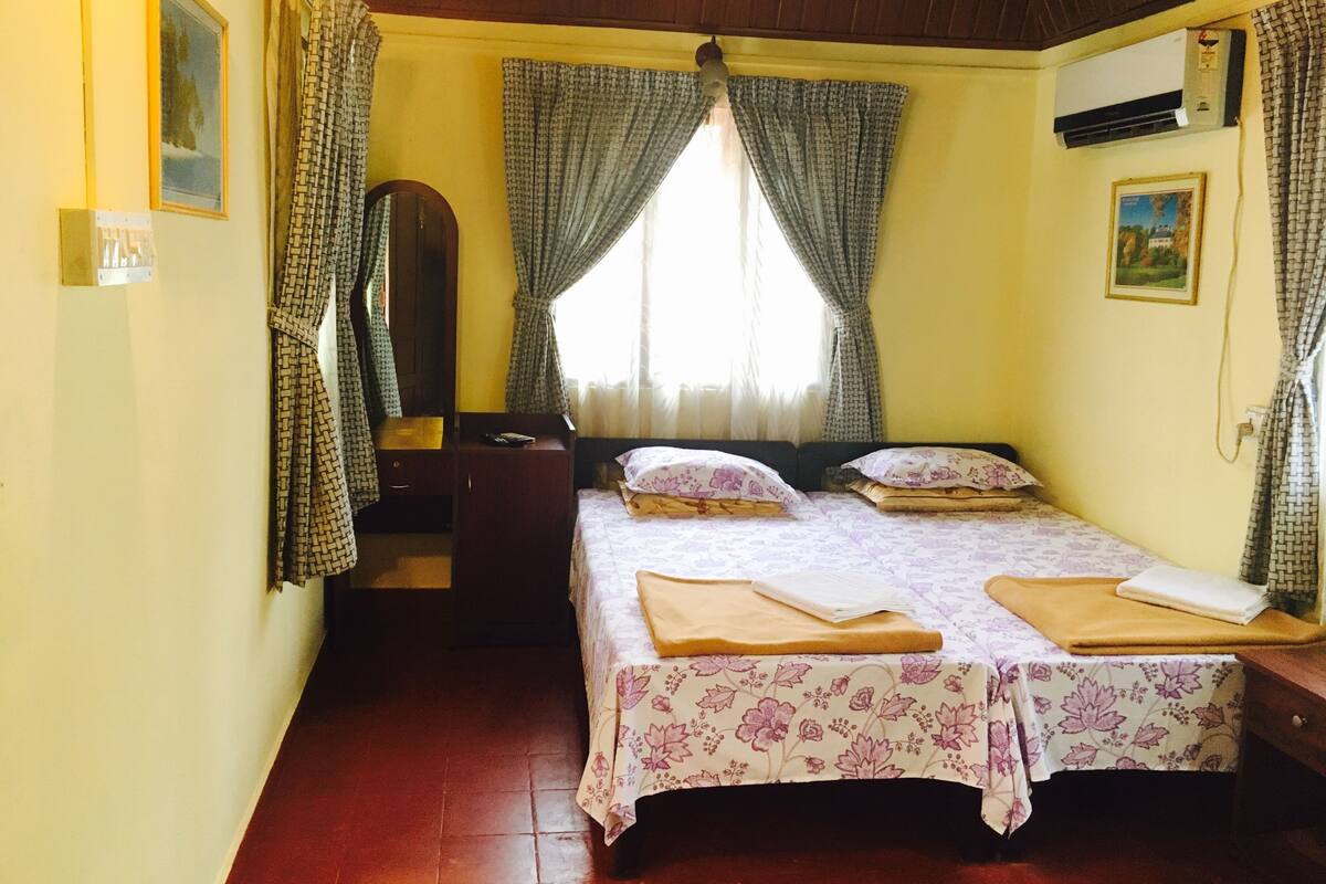 Chambre Deluxe avec lits jumeaux (A/C) | Bureau, lits pliants/supplémentaires, Wi-Fi gratuit
