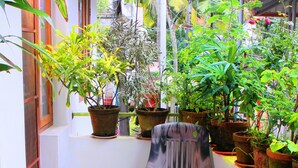 A small, enclosed balcony with potted plants, a chair, and a mat. - Heavenly Homestay (Kochi)