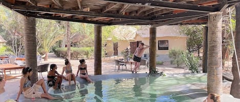 Outdoor pool, a natural pool, pool umbrellas, sun loungers