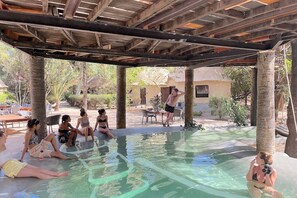 Outdoor pool, a natural pool, pool umbrellas, pool loungers