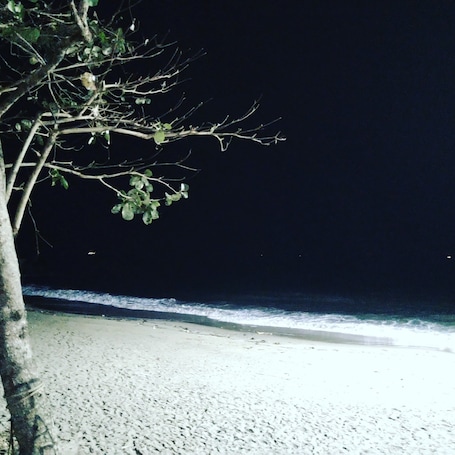 A beach with a tree in the foreground and the ocean in the background.