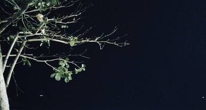 Lazar Residency Homestay