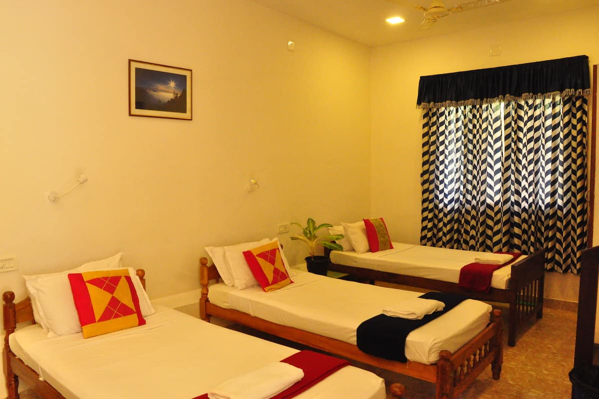 A hotel room with three single beds, a potted plant, a framed picture on the wall, and a patterned curtain.