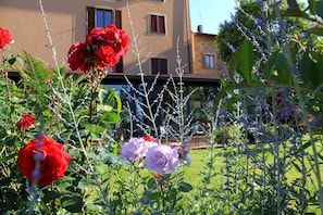 Un jardí amb roses vermelles i roses roses, un edifici amb finestres, i un cel serè.