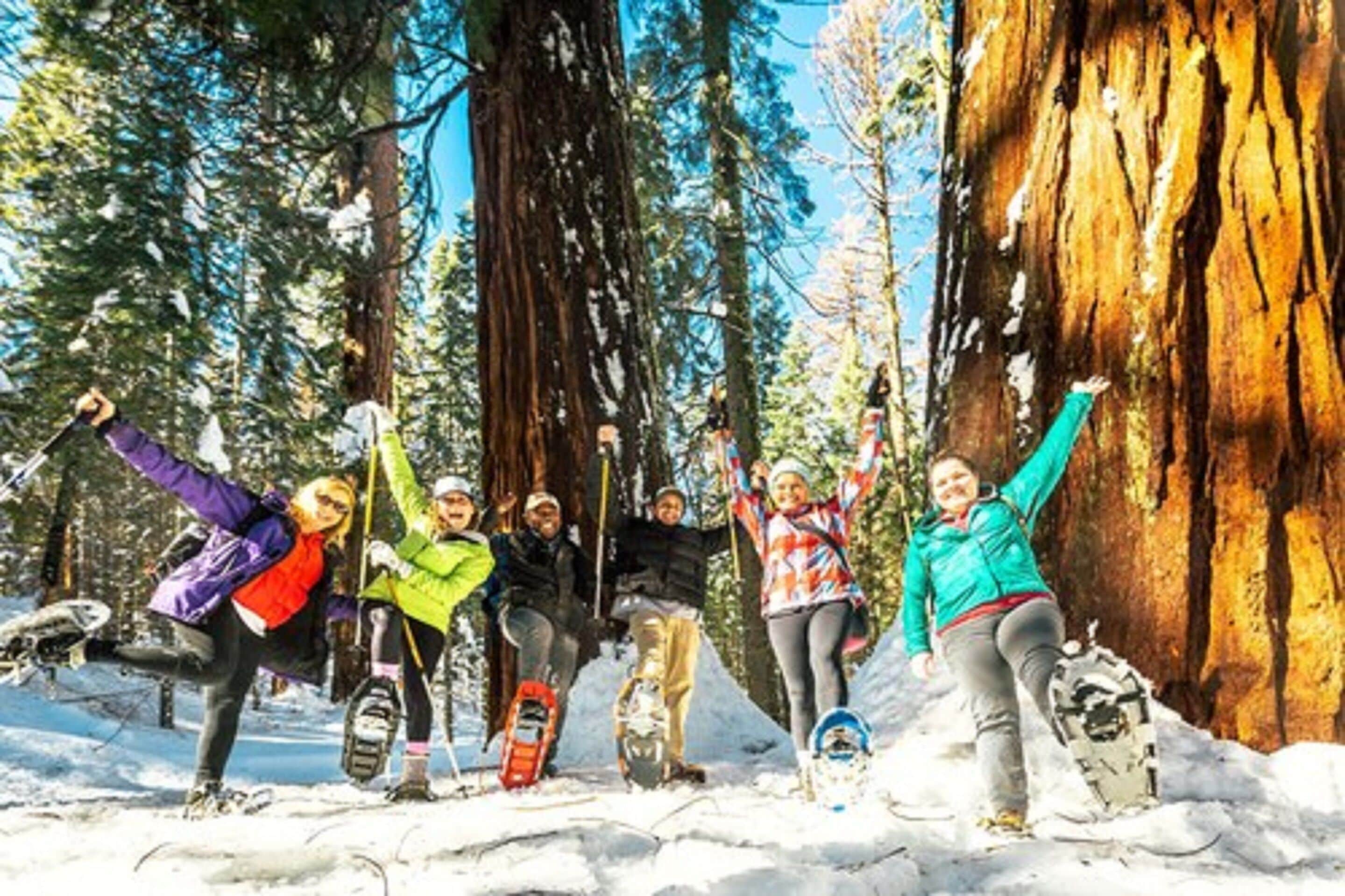 Um grupo de pessoas vestidas para o inverno, em uma floresta nevada, com árvores e um tronco de árvore grande ao fundo.