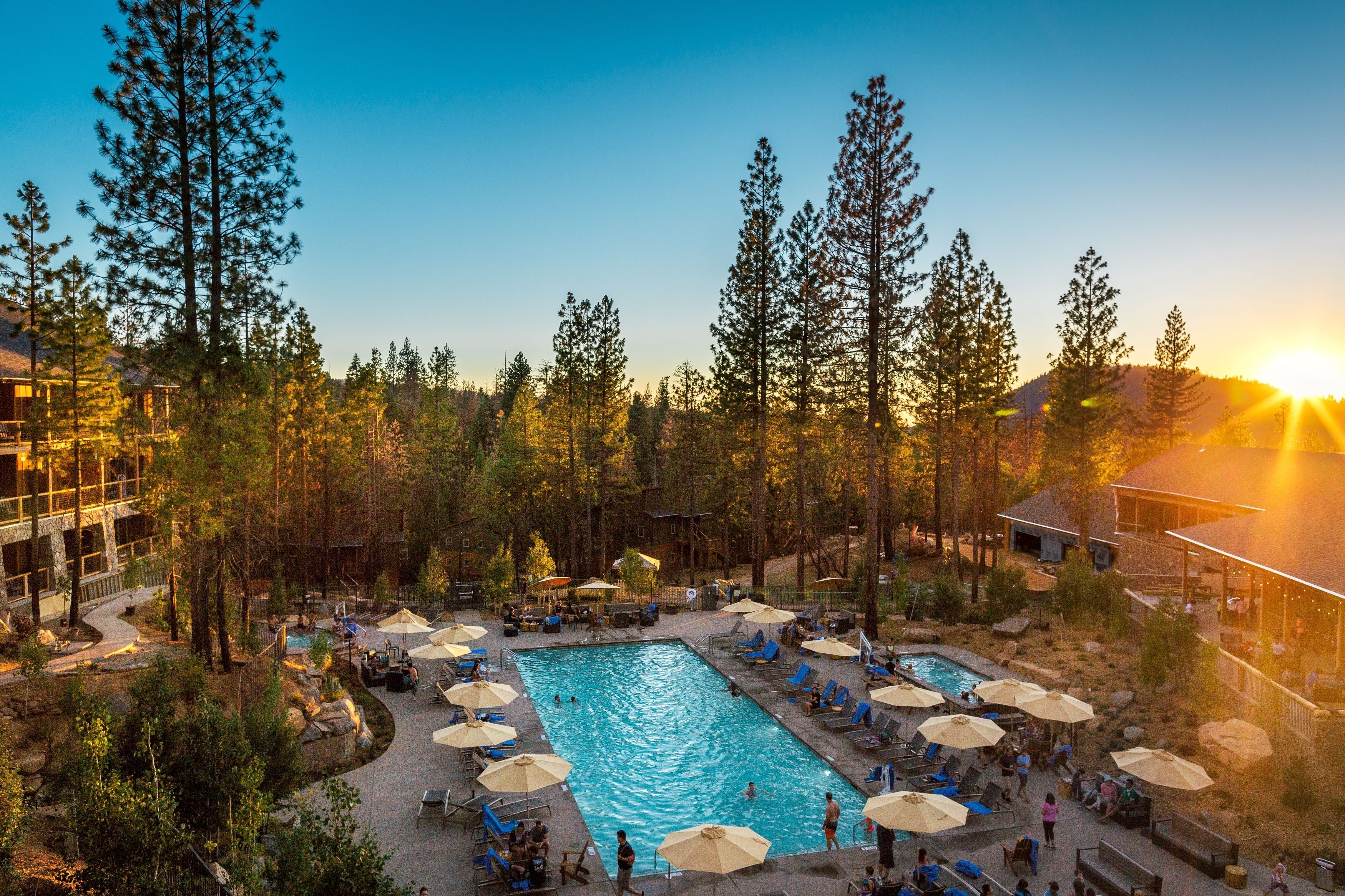 A large outdoor swimming pool surrounded by lounge chairs and umbrellas, with tall trees and a building in the background.