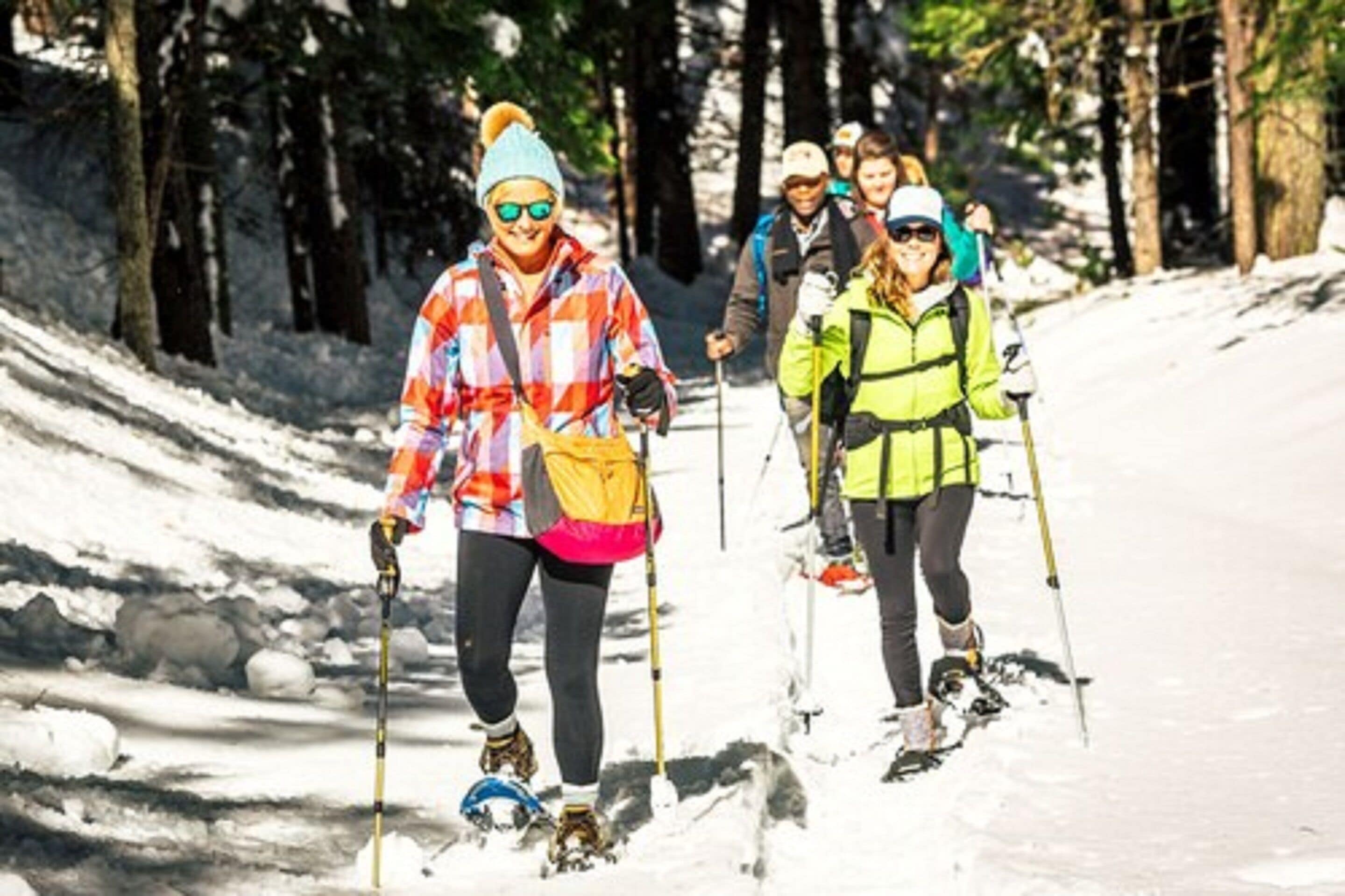A group of people cross-country skiing in a snowy forest.
