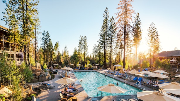 A pool area with lounge chairs and umbrellas, surrounded by tall trees and a building in the background.