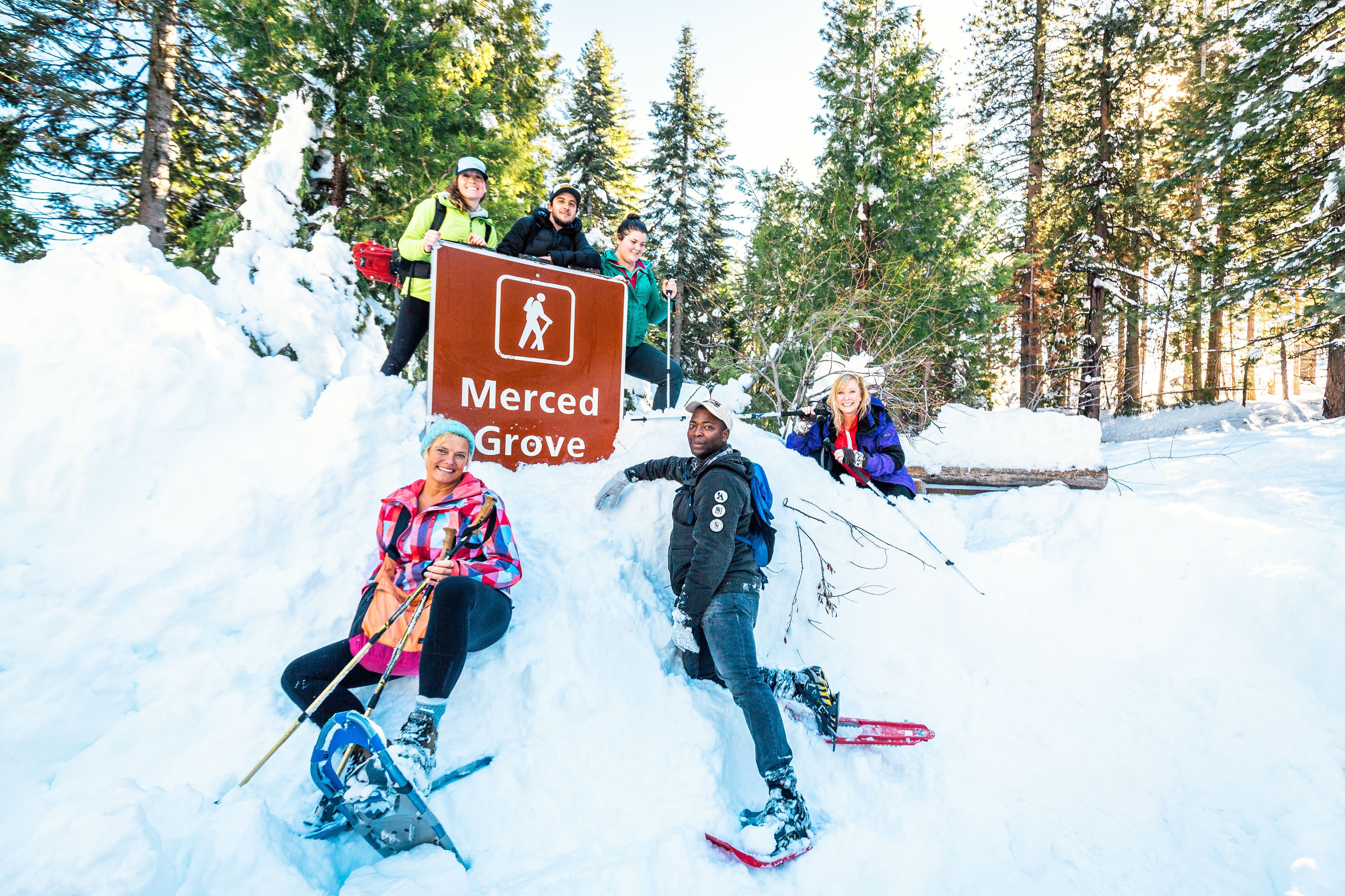 En gruppe mennesker står på ski og snowboard i Merced Grove.