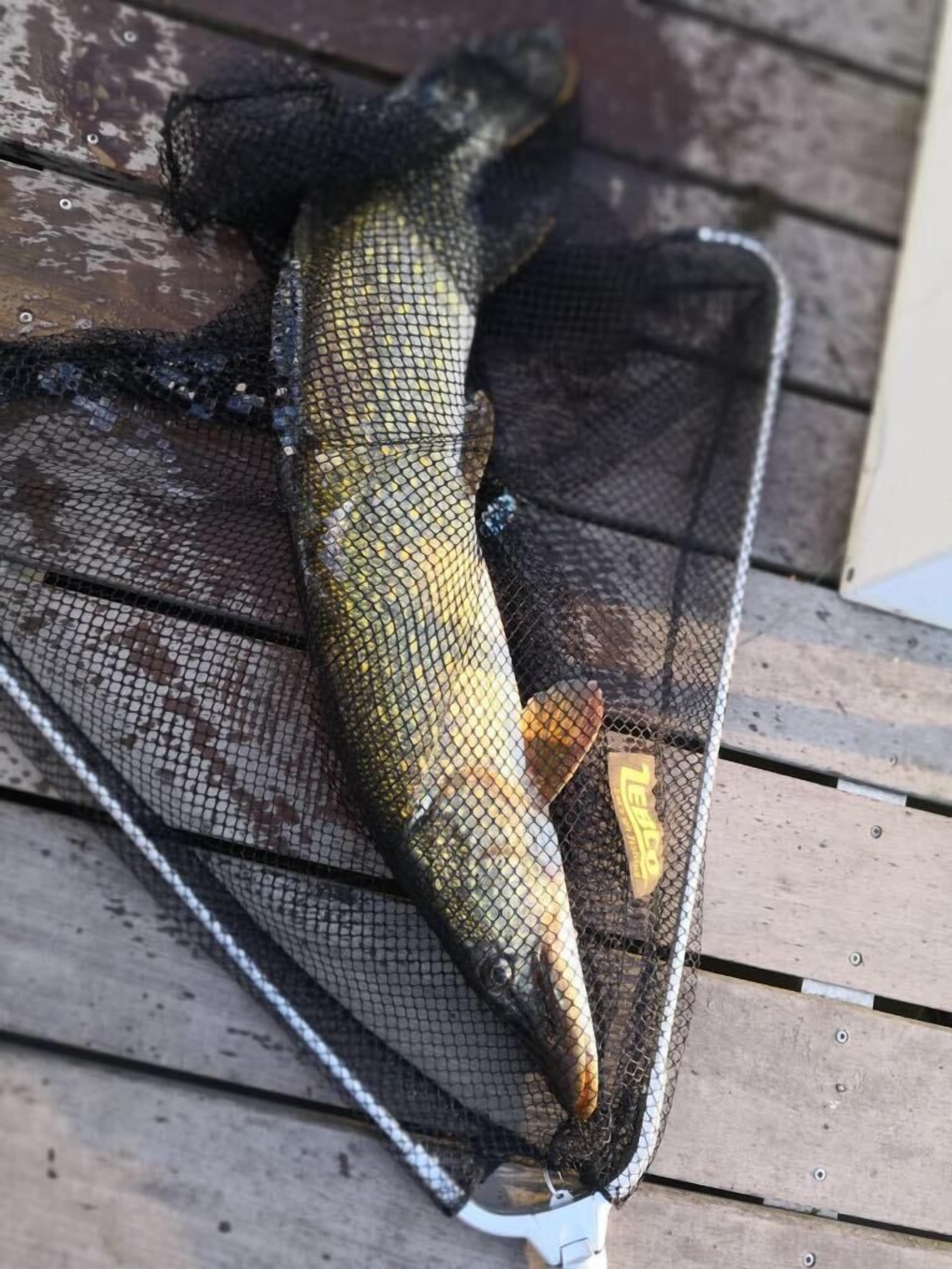 Photo - HAVEL-Cruiser Hausboot-Flöße mit Stil