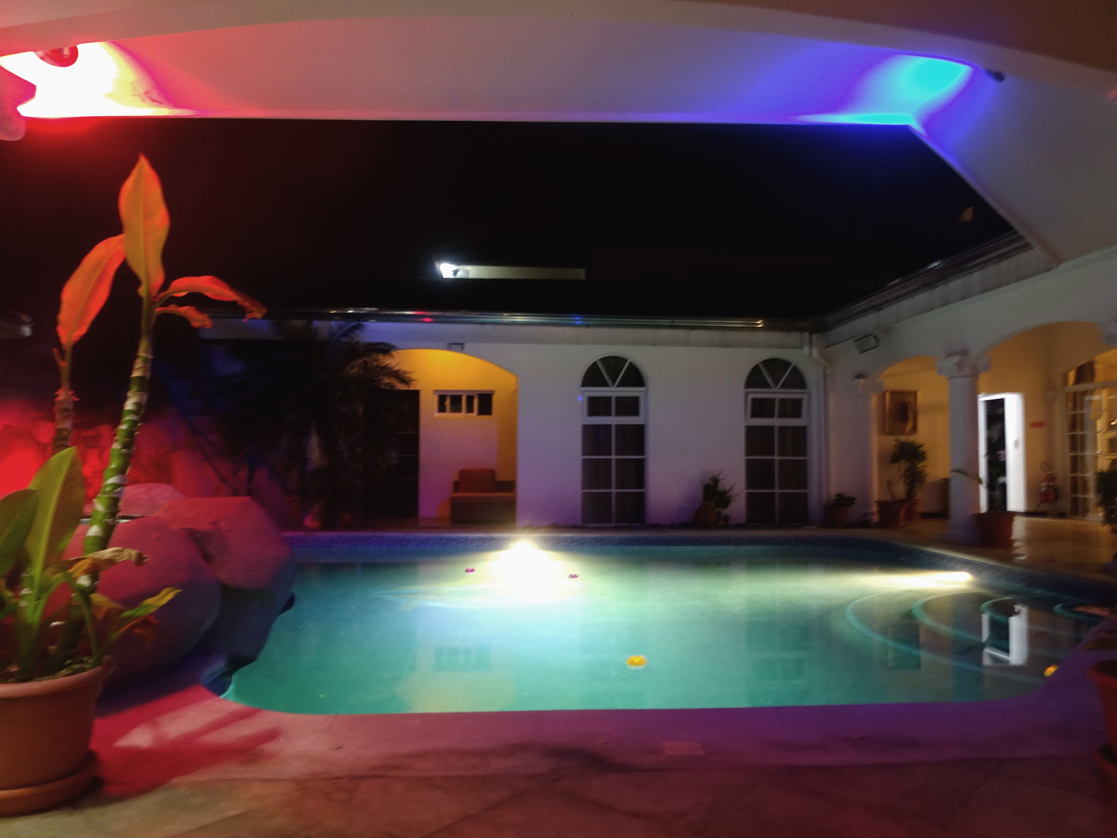 Una piscina con solárium empinado, rodeada de plantas en macetas y un edificio con ventanales de arco.