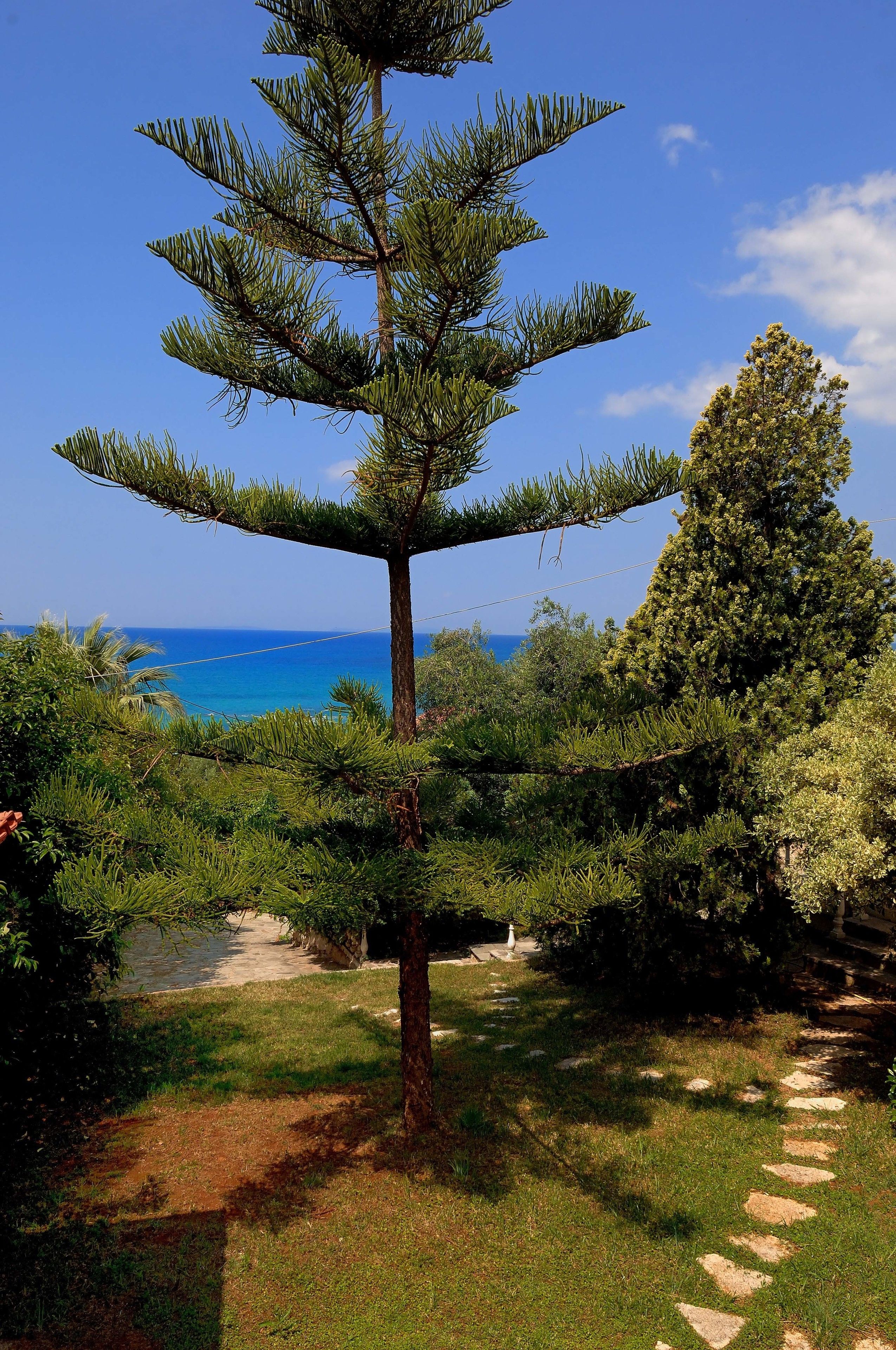 Áreas de la propiedad