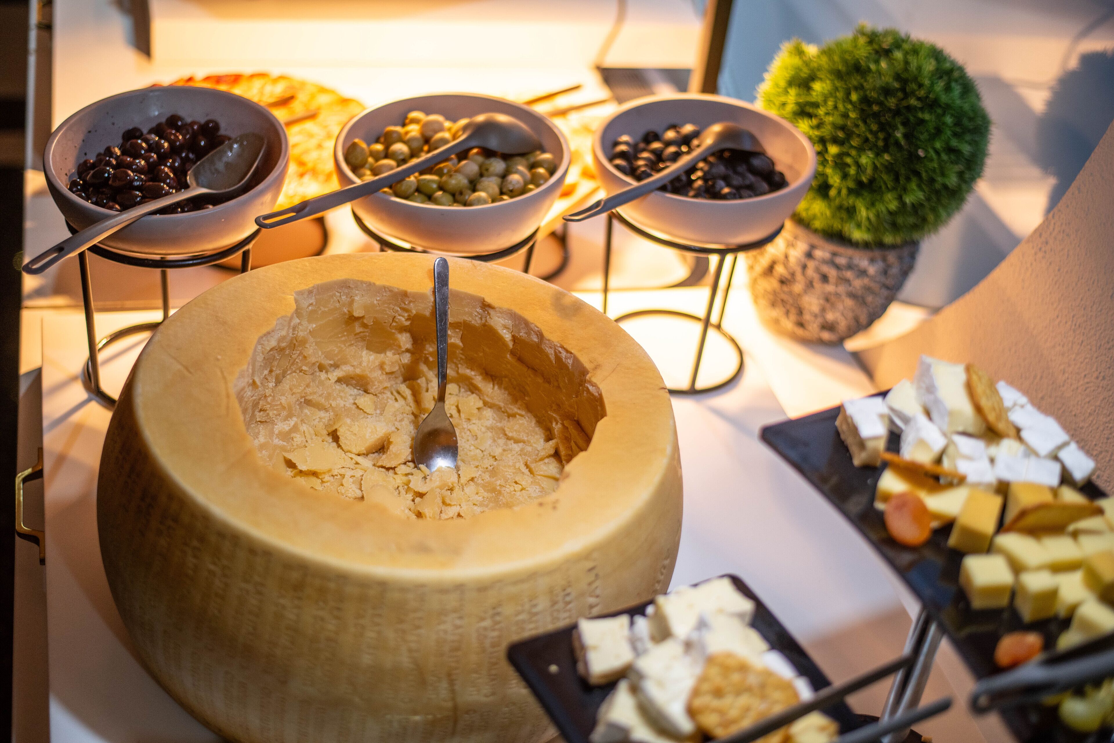 Un bufé con un queso grande en rueda, cuencos de aceitunas y una variedad de quesos y galletas.
