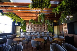 Bar (en la propiedad)