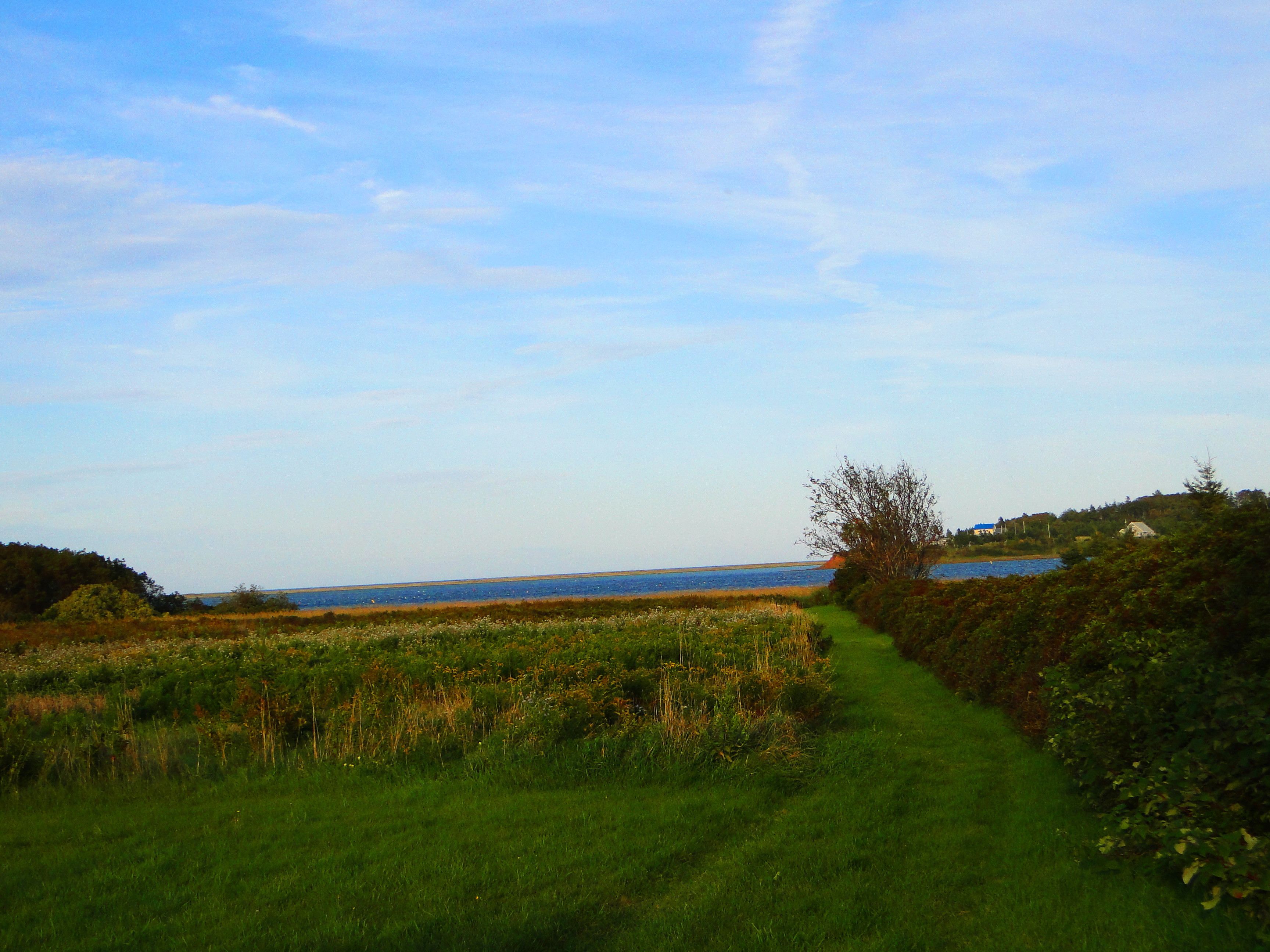 A grassy path leading to a body of water with a clear sky above.