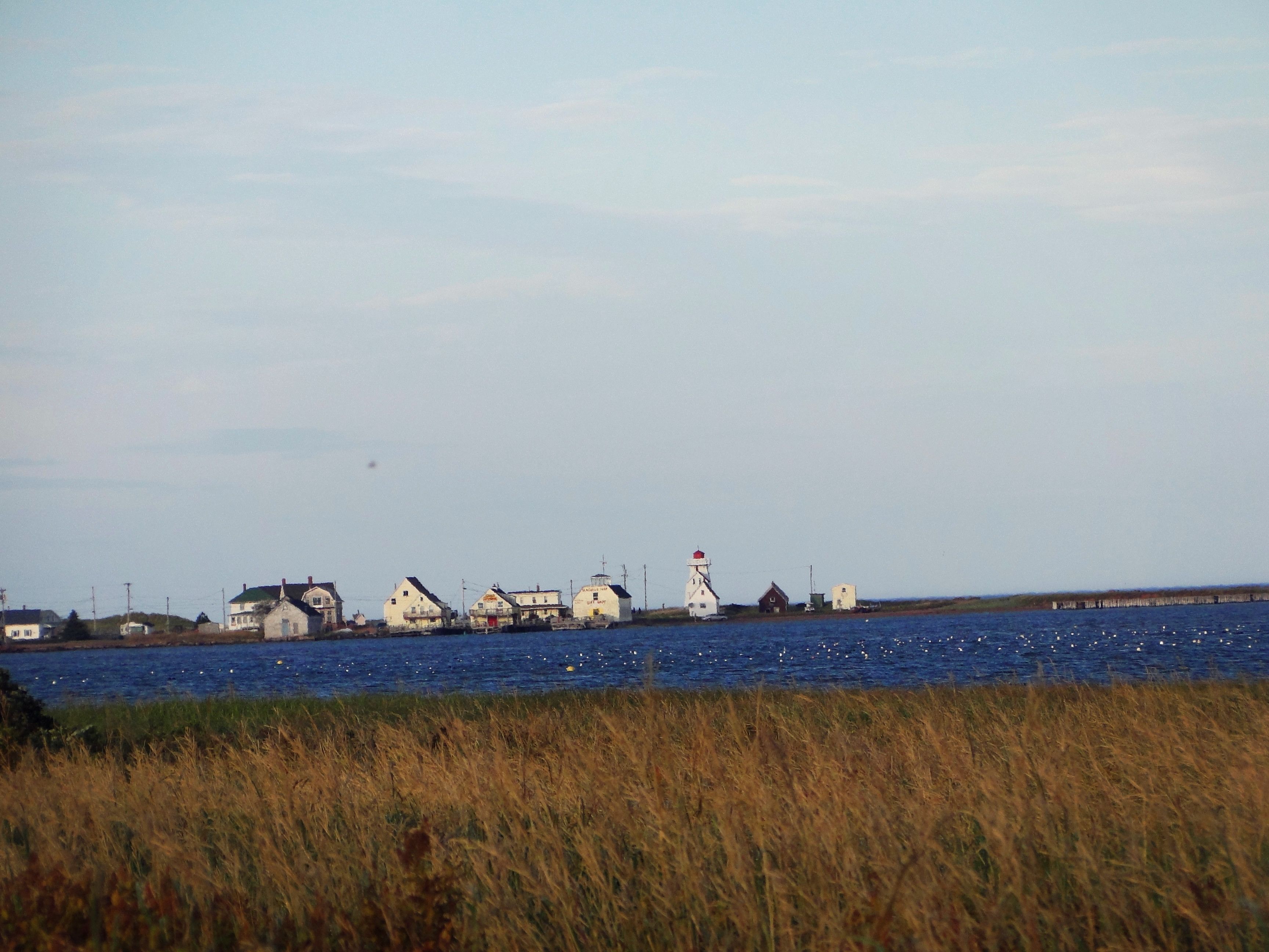 Un pueblo costero con casas y un faro junto al mar.