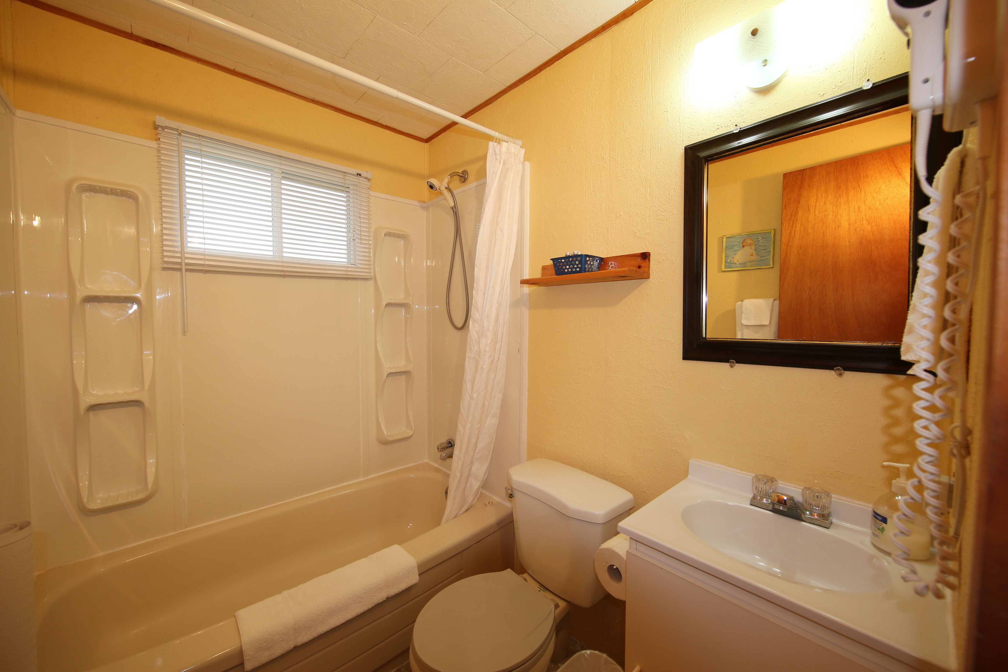 Une salle de bain avec une baignoire, des toilettes et un lavabo.