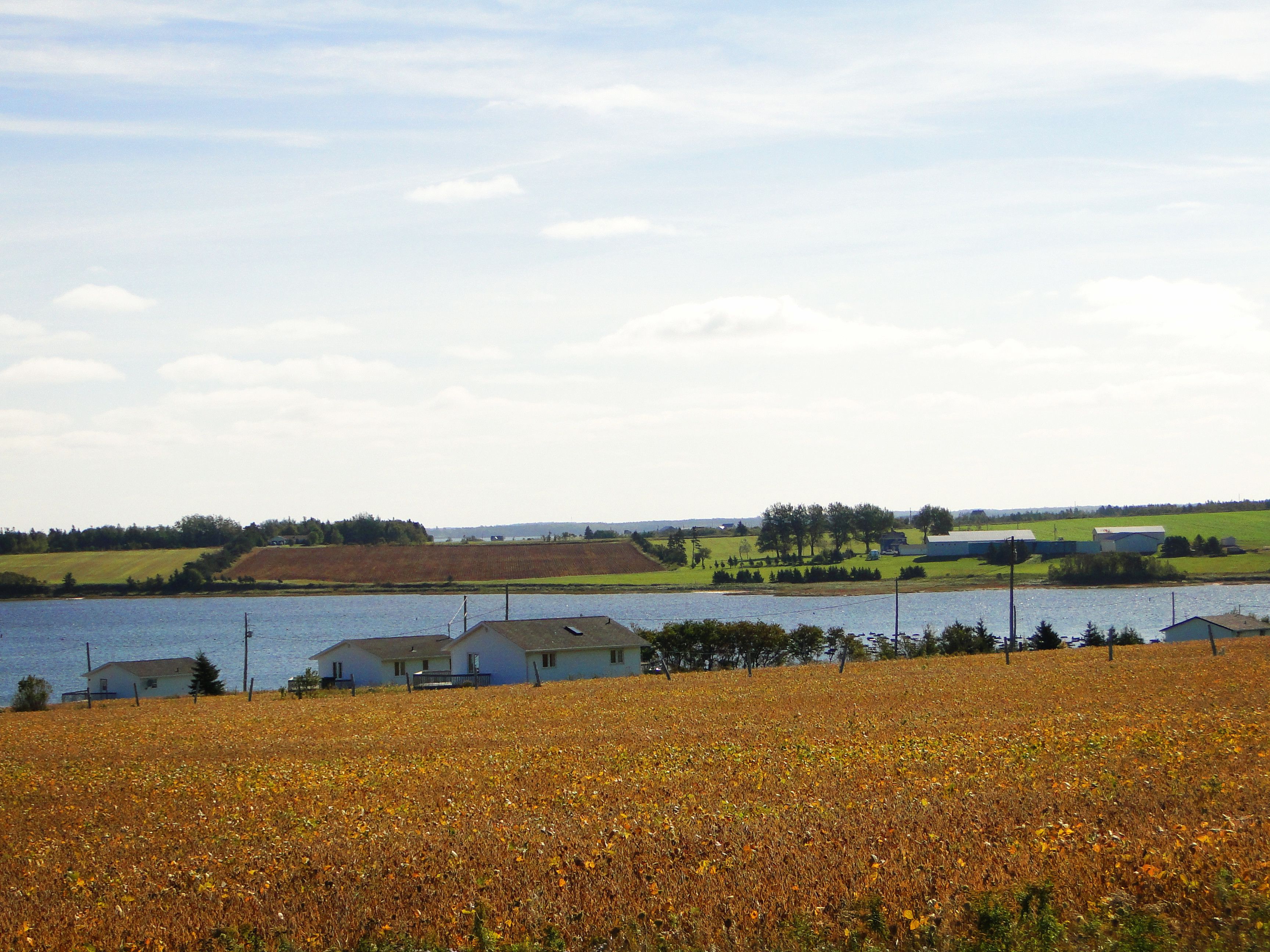 A rural landscape with a body of water, houses, and fields.
