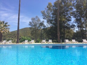 A clear blue pool with white lounge chairs and tall trees in the background.
