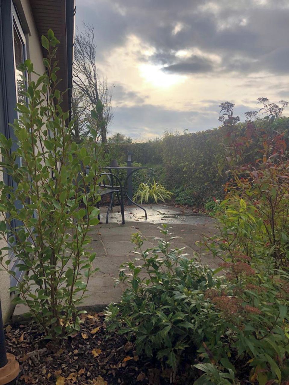 An outdoor patio area with a table and chairs, surrounded by various plants and shrubs.