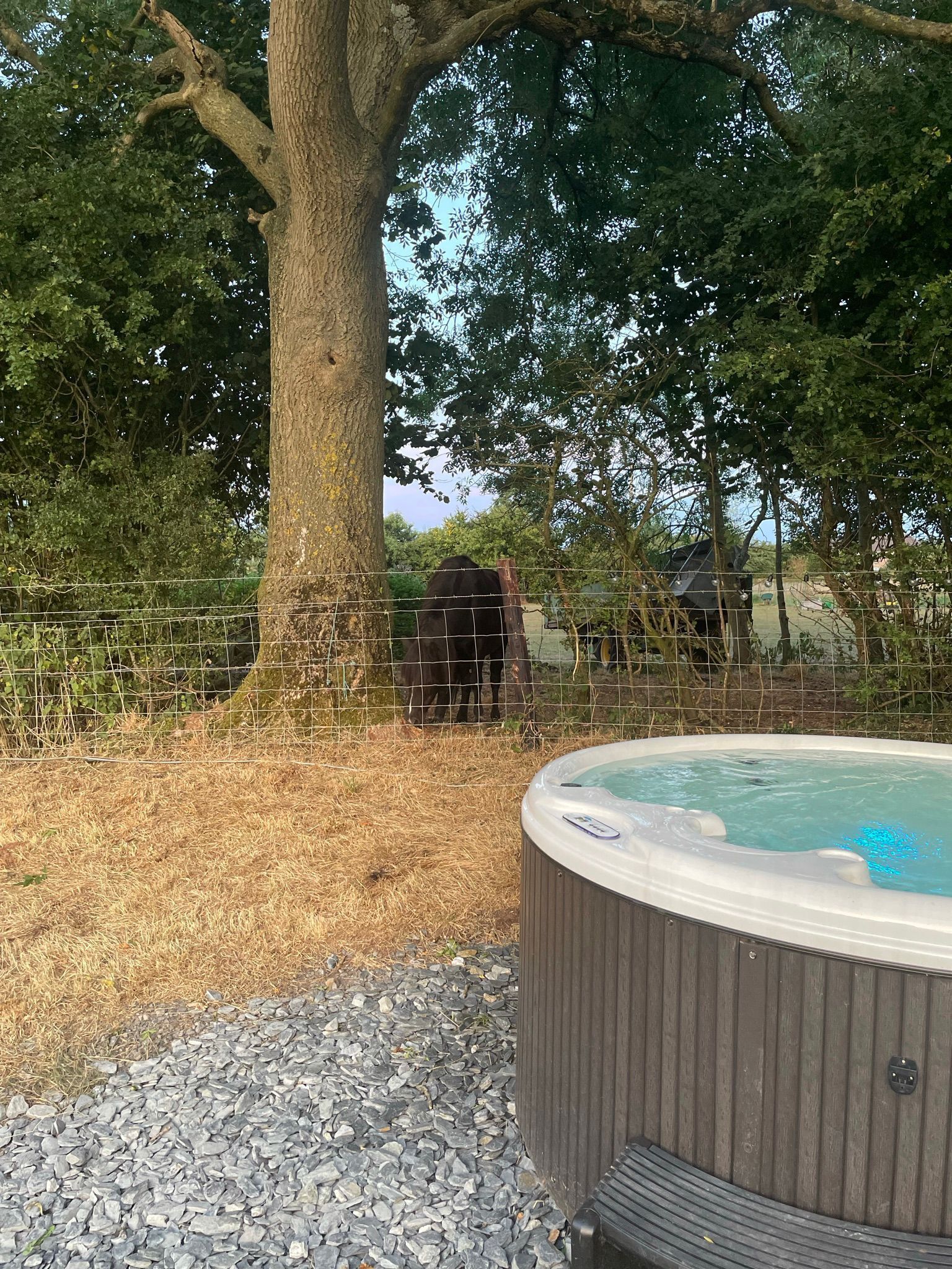 Een hottub omringd door een grindpad, een houten hek en een boom.