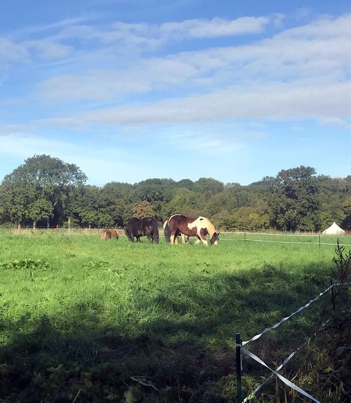 Foto - Hillcroft Accommodation