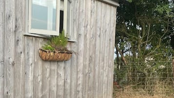 A wooden cabin with a window, a hanging planter with greenery, and a wicker sofa with cushions.