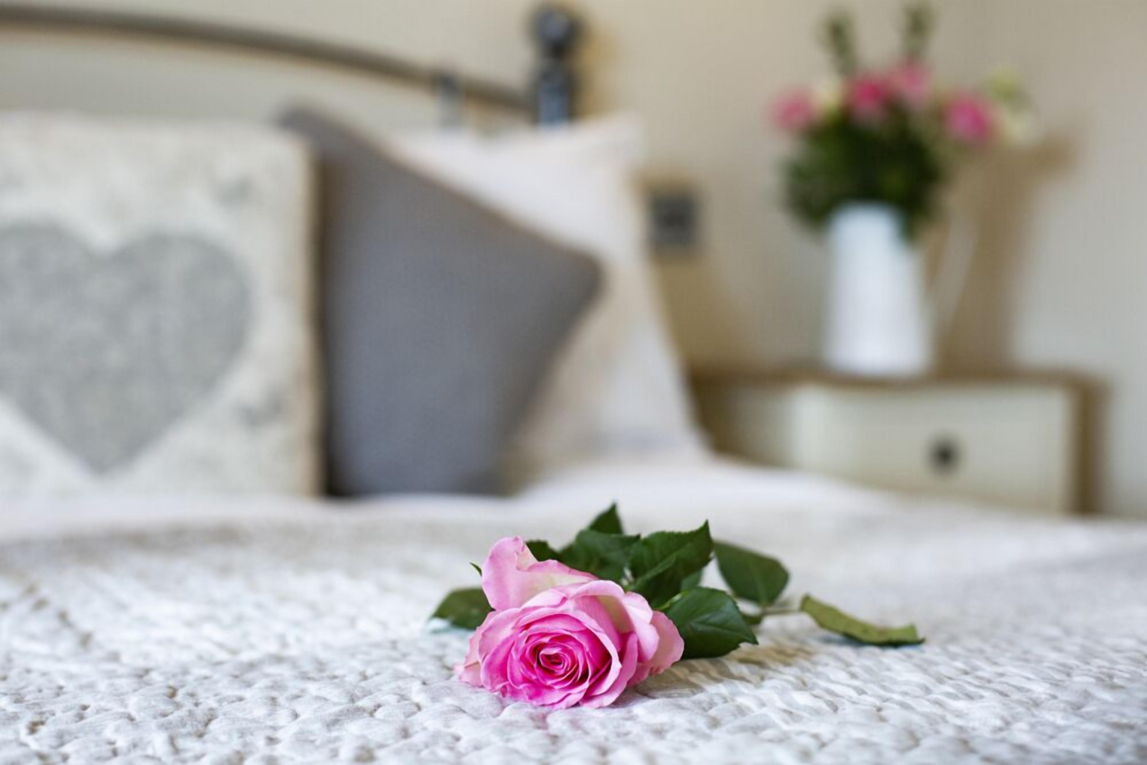 Un lit avec une seule rose rose et un oreiller en forme de cœur.