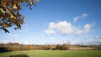 A rural landscape with a clear sky, green fields, and scattered trees.