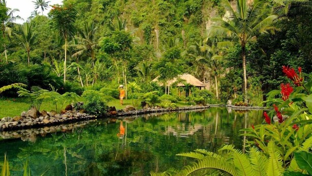 A serene pond surrounded by lush greenery and a thatched-roof hut. - The Royal Pita Maha (Ubud)