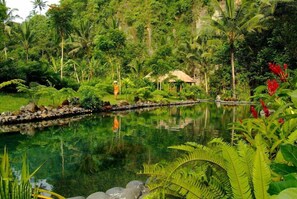 Jardines del alojamiento