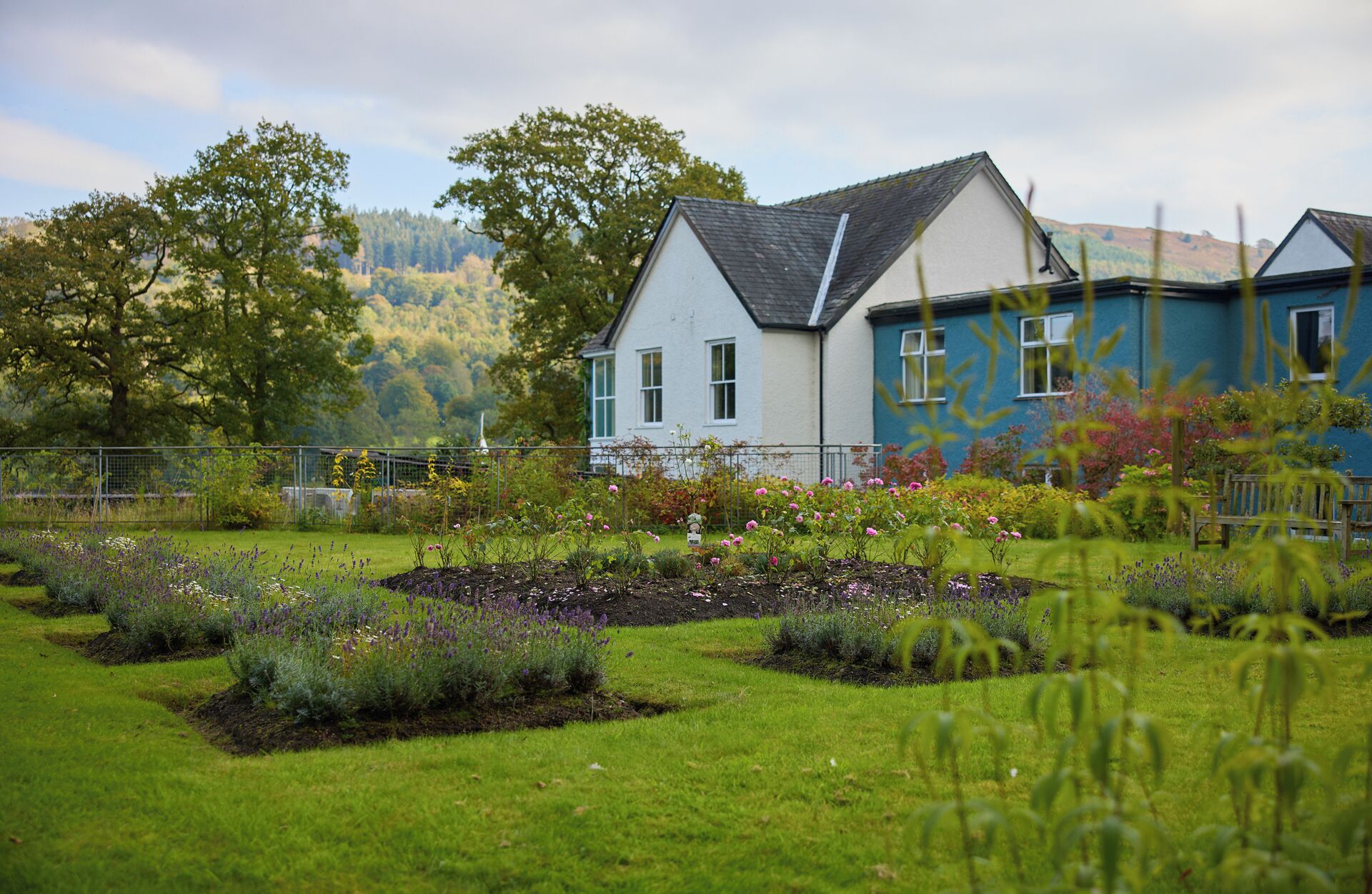 A house with a white and blue exterior, surrounded by a well-maintained garden with various plants and flowers.