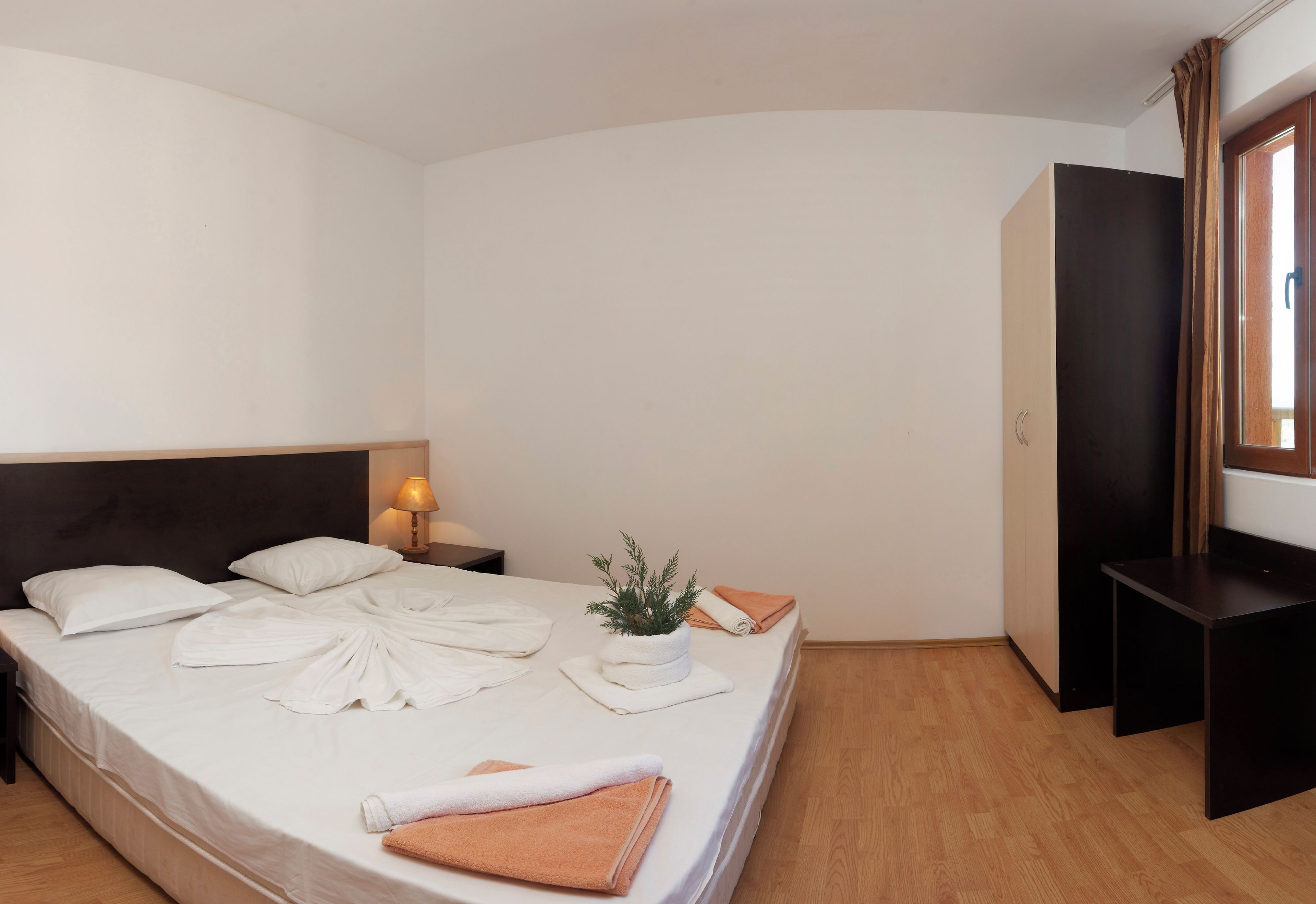 A hotel room with a bed, a nightstand, a potted plant, a desk, and a wardrobe.