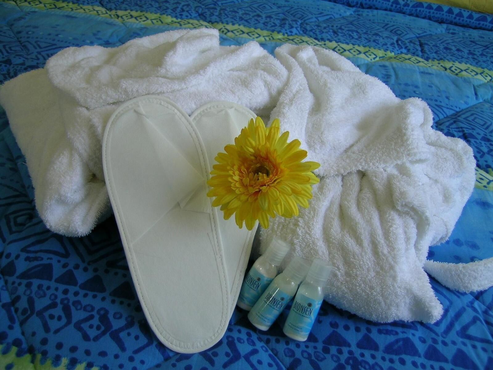 shower, free toiletries, hair dryer, bidet