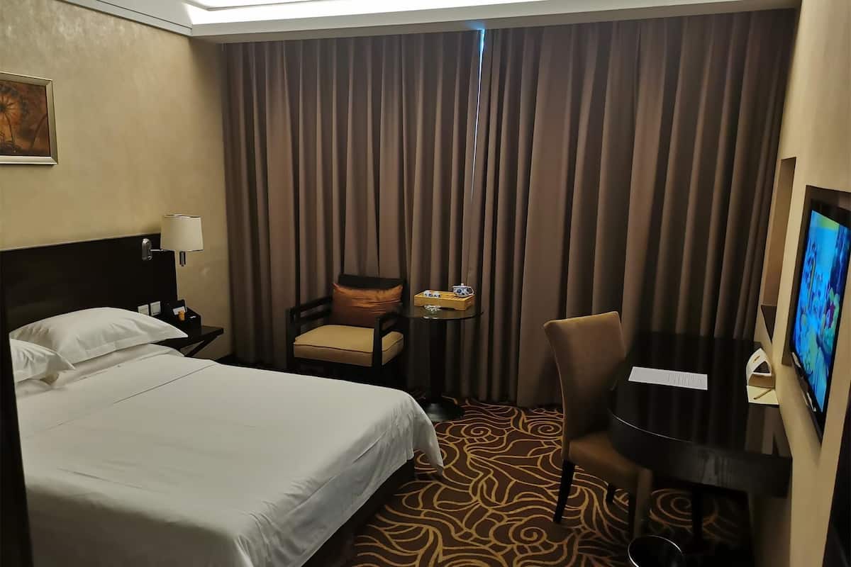 A hotel room with a bed, a desk, a chair, a television, and a patterned carpet.