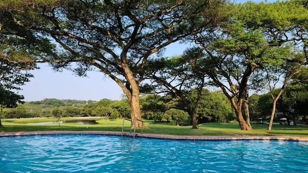 A swimming pool with a view of a lush green landscape and trees. - Sabi River Sun (Mbombela)