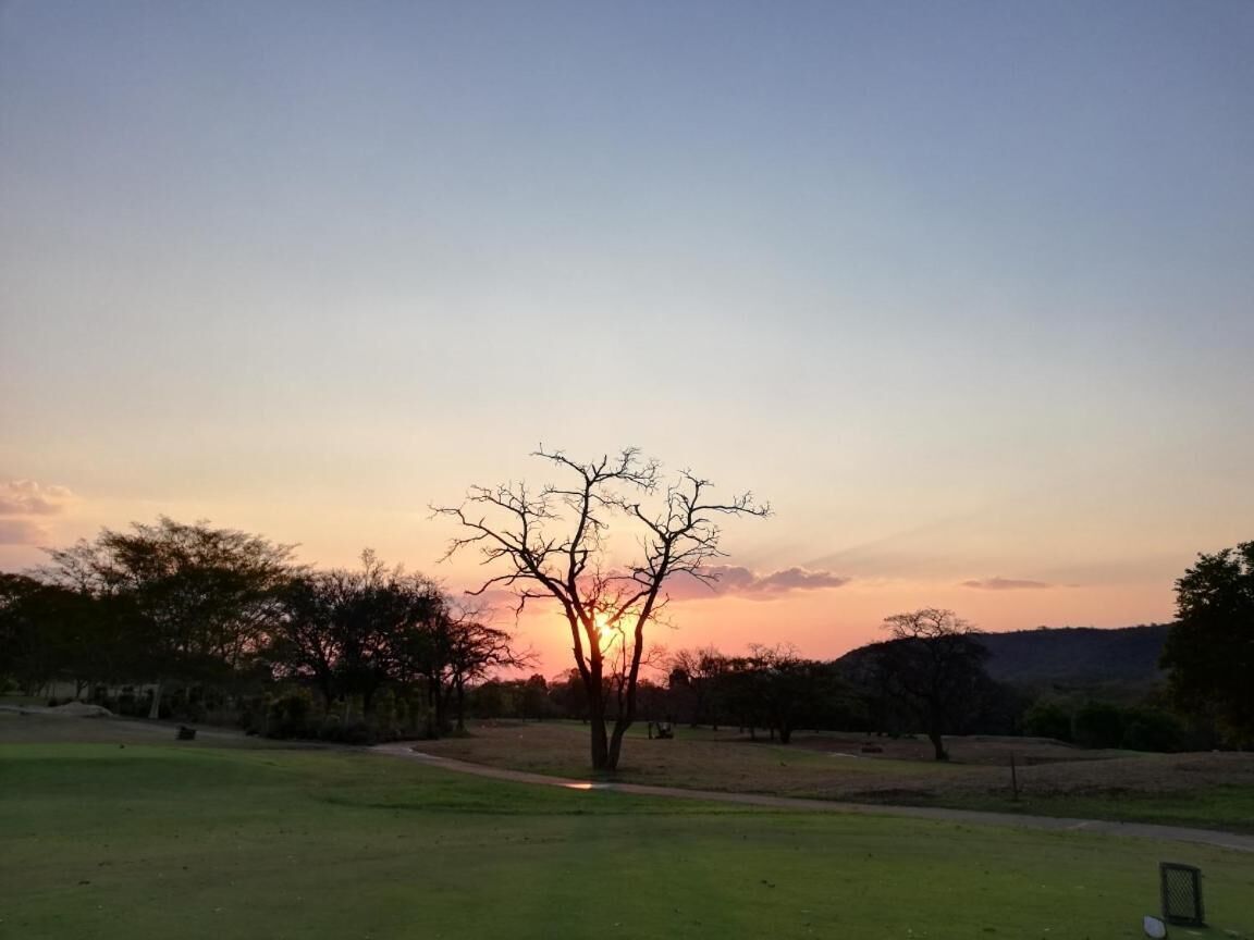 A tree in a grassy field with a sunset in the background.