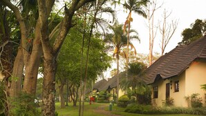 A pathway leading to a row of traditional-style buildings with thatched roofs, surrounded by lush greenery and palm trees. - Sabi River Sun (Mbombela)