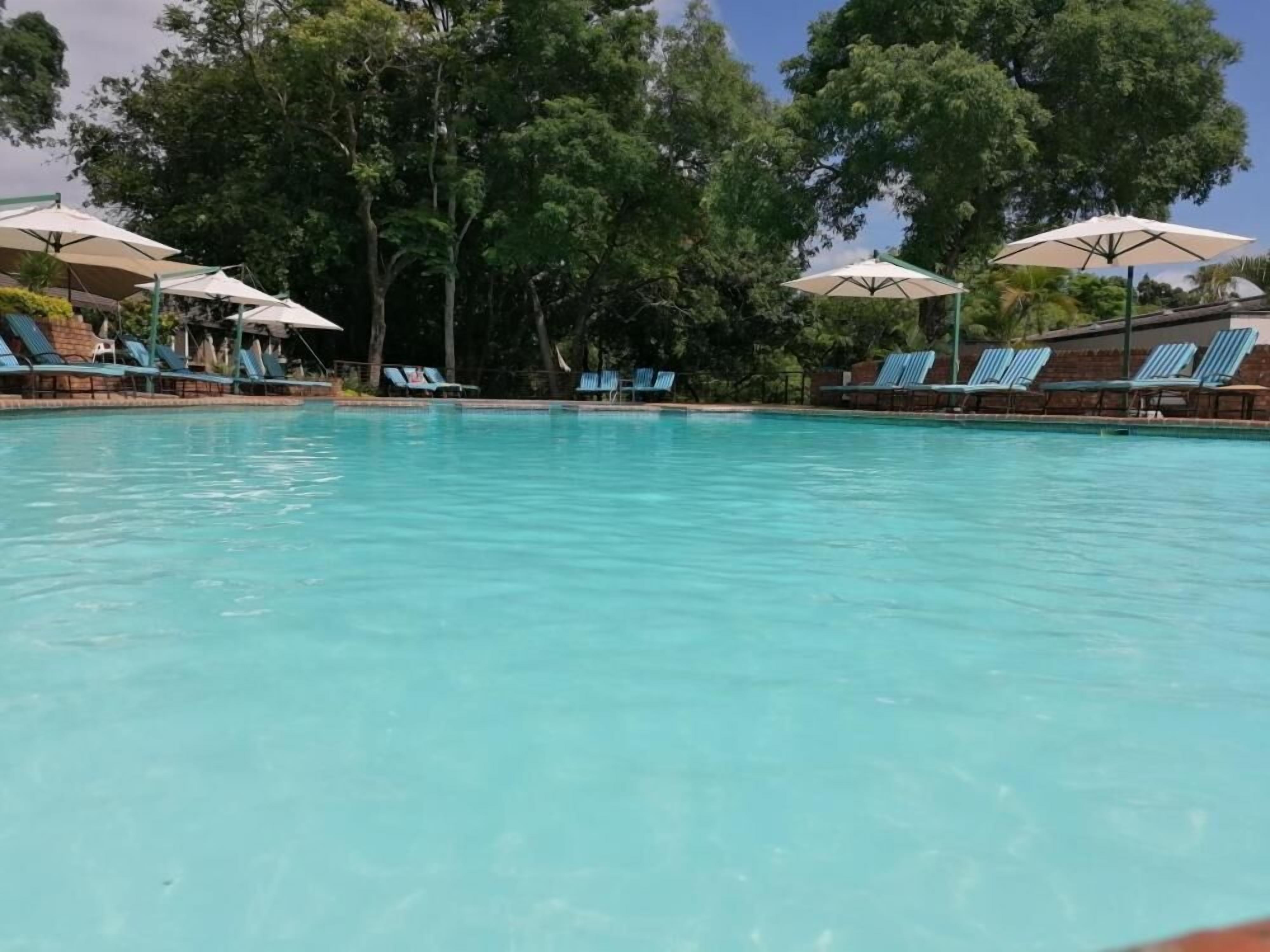 A swimming pool with lounge chairs and umbrellas, surrounded by trees.
