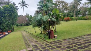Un jardín con un sendero, un árbol grande y diversas plantas.