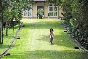 Pemandangan dari properti