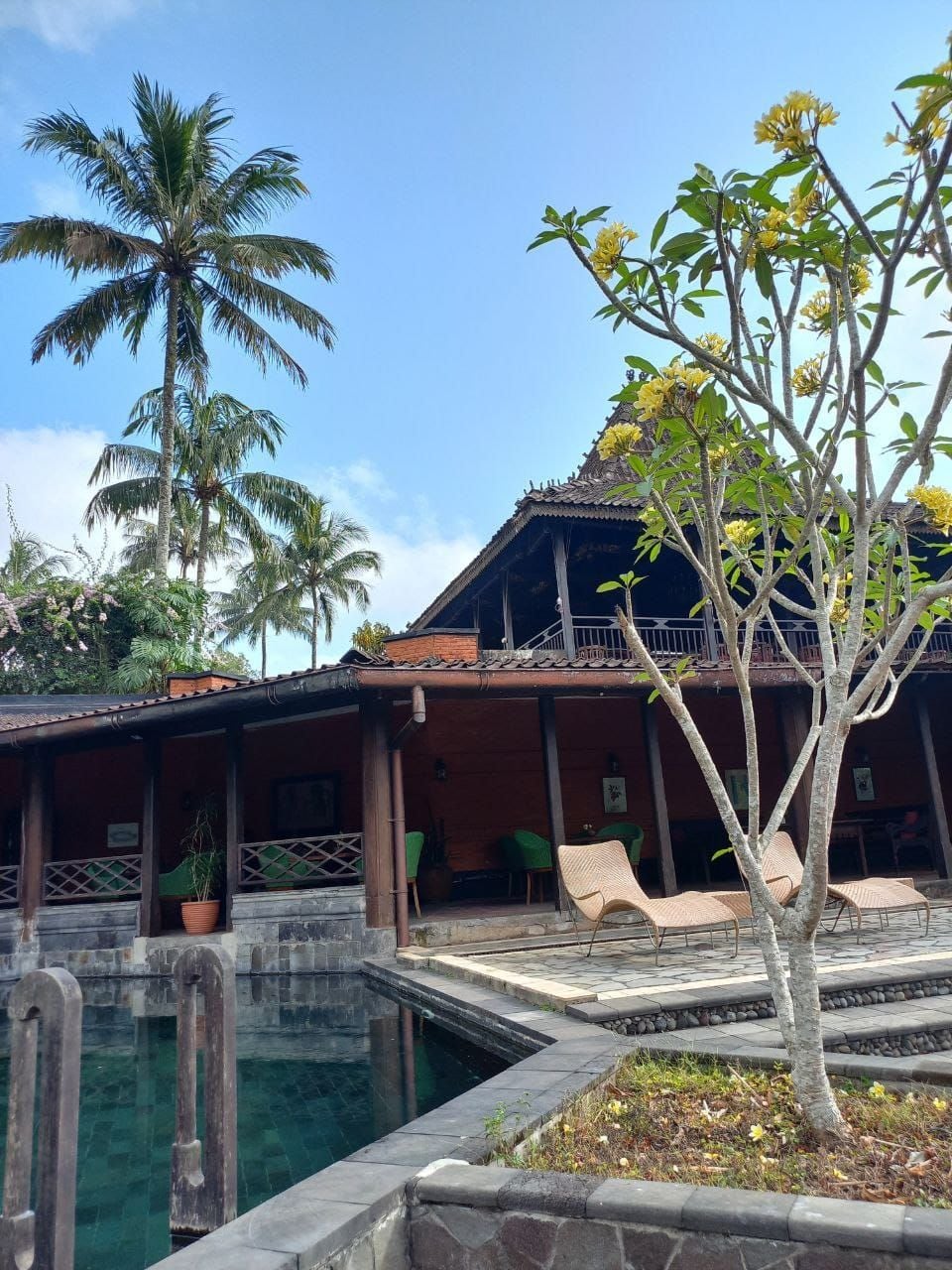 Ein Resort mit Pool, Liegestühlen und Palmen.