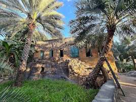 Un edificio de piedra con varias ventanas y una palmera en primer plano.