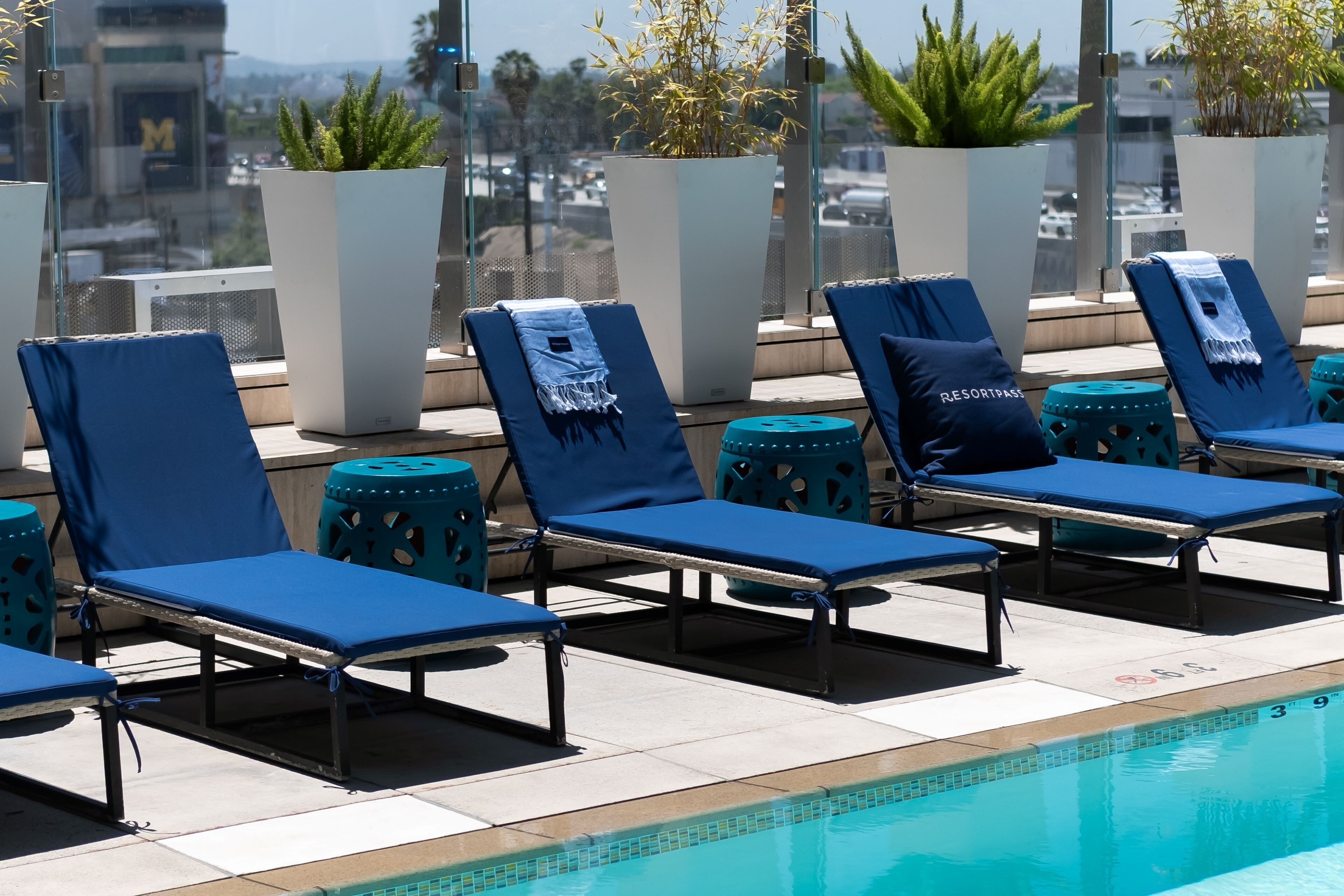 A rooftop pool area with lounge chairs and potted plants.